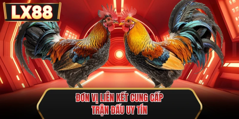 don vi lien ket cung cap tran dau uy tin