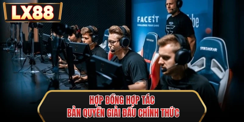 hop dong hop tac ban quyen giai dau chinh thuc