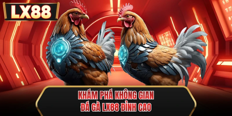 kham pha khong gian da ga mu88 dinh cao