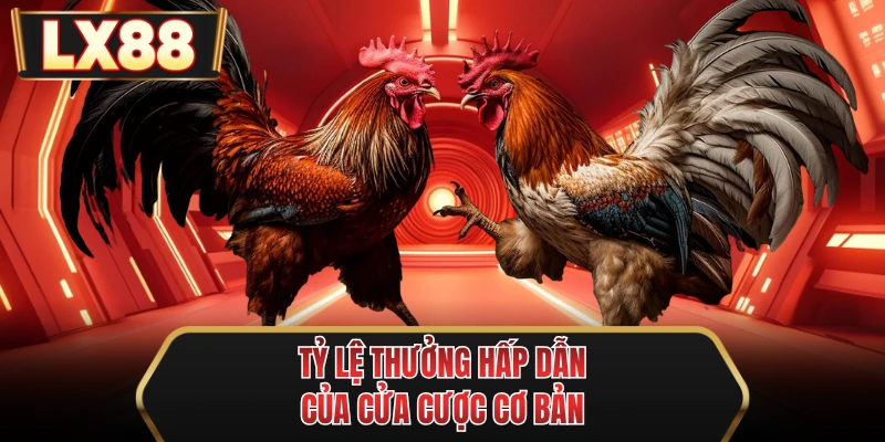 ty le thuong hap dan cua cua cuoc co ban